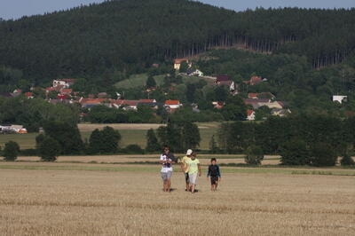 IMG 5972